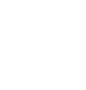 la souris verte interface logo lezard 67